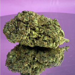 Purple kush CBD 12% / 2,5gr Green Paradise Boutique CBD en Ligne