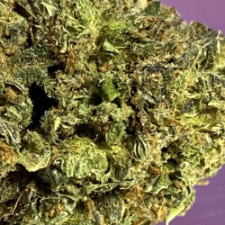 Purple kush CBD 12% / 2,5gr Green Paradise Boutique CBD en Ligne