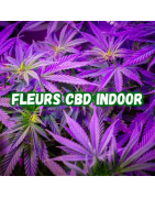 Fleurs CBD Indoor - Qualité Supérieure et 100% Naturelles