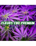 Fleurs CBD premium